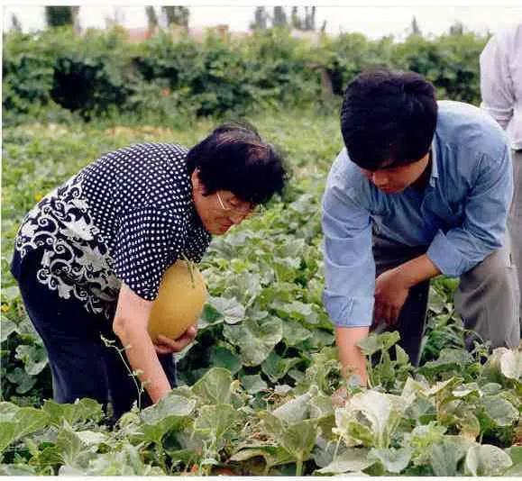 甘肃农村吃瓜视频,吃瓜视频展现田园生活魅力