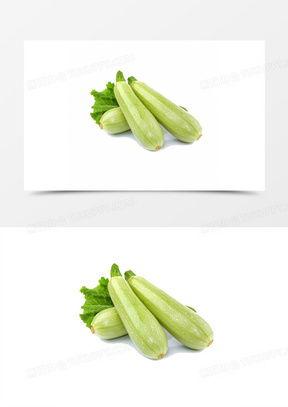 吃蒸葫芦瓜视频大全图片,家常美味一网打尽