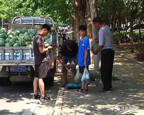 吃瓜群众看热闹缅甸视频,吃瓜群众围观视频引热议