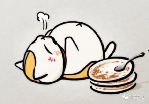 吃瓜之人怎么画好看视频,吃瓜达人教你如何绘制吸睛视频
