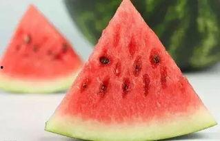 带你吃瓜科普视频下载,吃瓜科普视频背后的下载奥秘