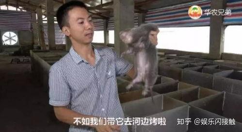 月上重火吃瓜视频,揭秘吃瓜视频背后的精彩故事