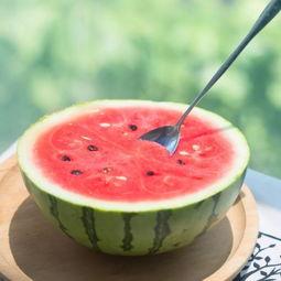 如何实时吃原视频瓜,原视频瓜新鲜速递