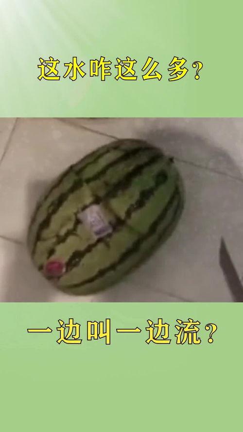 卫生间吃瓜视频,揭秘网络热传视频背后的故事