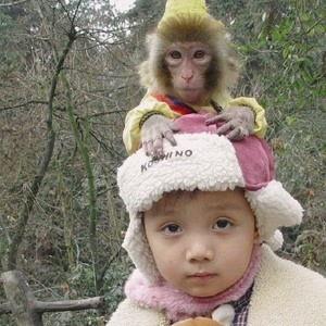 鬼脸吃瓜视频,揭秘网络红人的幕后故事