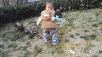 吃瓜小熊打伞视频播放,吃瓜小熊打伞萌态视频走红网络