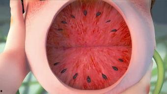 qq吃瓜聊包浆视频,探寻古玩收藏的魅力与技巧