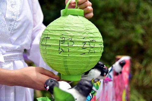 七夕节吃瓜现场视频播放